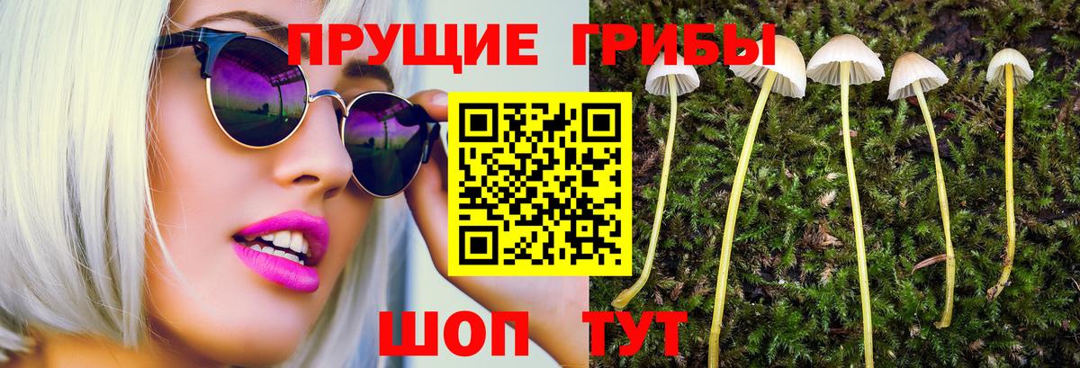 Псилоцибиновые грибы GOLDEN TEACHER Лобня